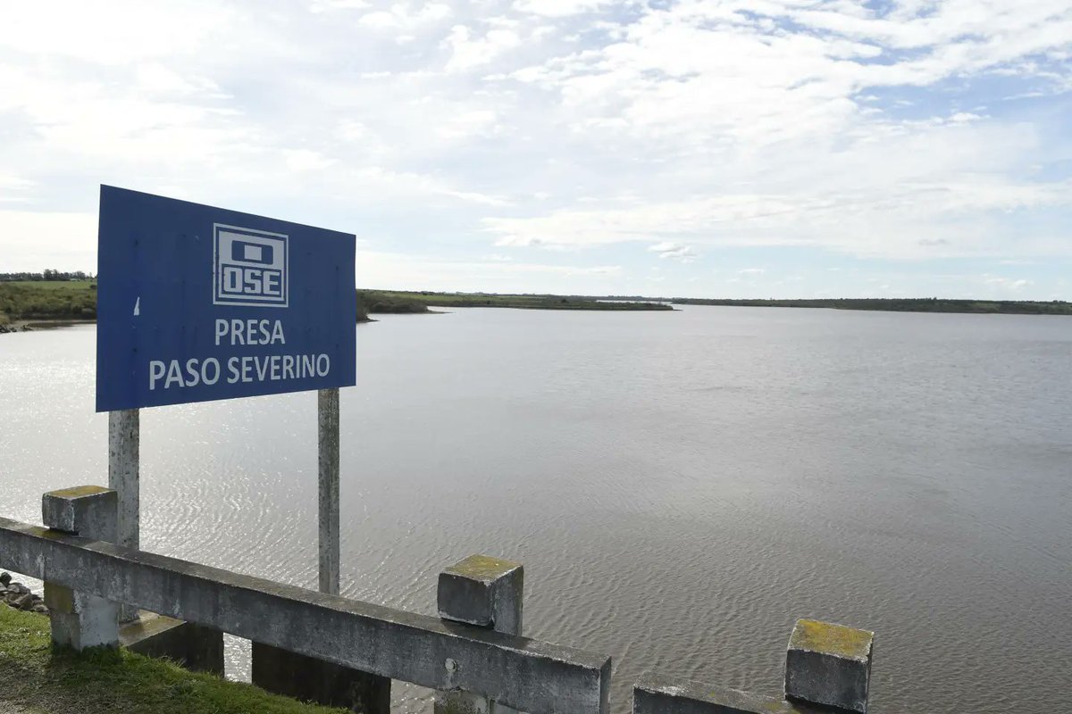 Tiatucura tweet media