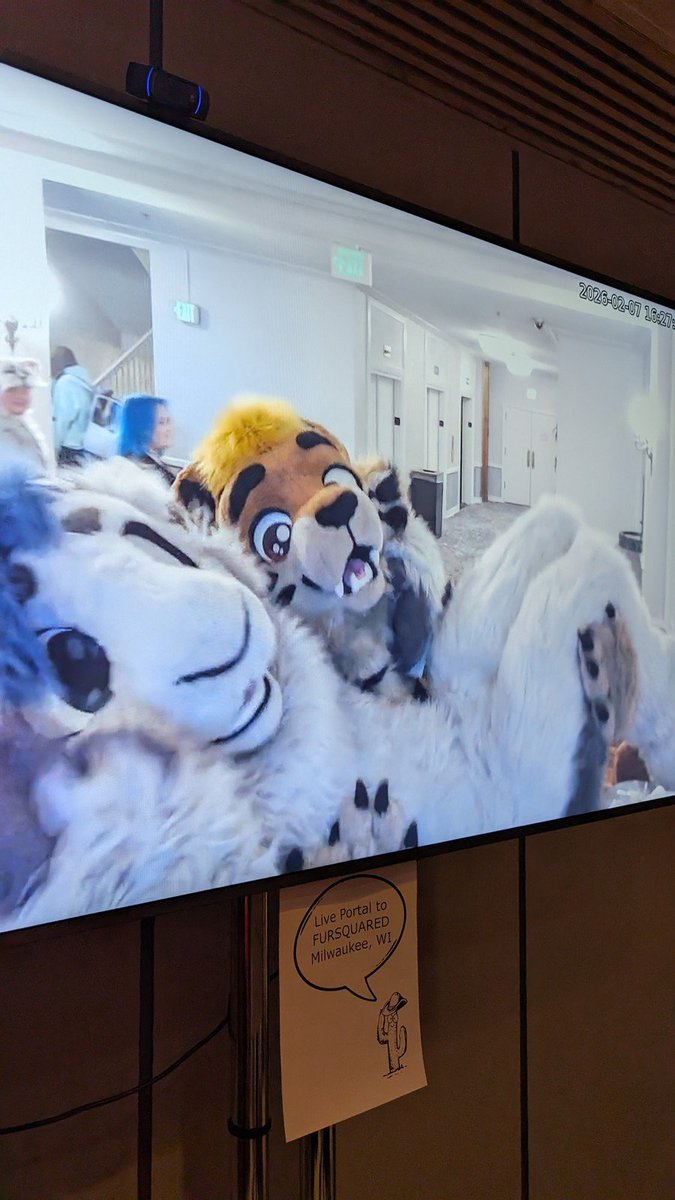 MrVideoFreak tweet media