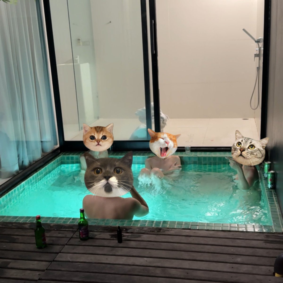 PyCouples's tweet photo. รีทวิตสุ่มแจกคลิป แฟนให้อั่งเปาเป็นแมว 3 ตัว

#หญิงเดี่ยวช่วยคู่ #เลสเบี้ยน #เลสไบ #รีทวิตส่งคลิปเต็ม https://t.co/2sE8qxwayy