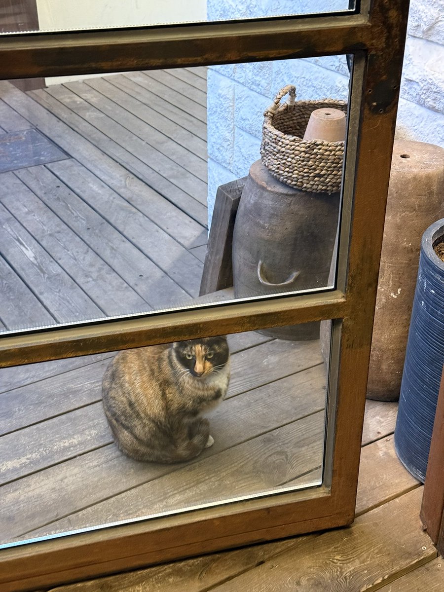 올만에 제가 조아하는 땡스오트 갔더욘
흠.. 근데 예전만큼은 못하는거 같음 ㅠㅠ