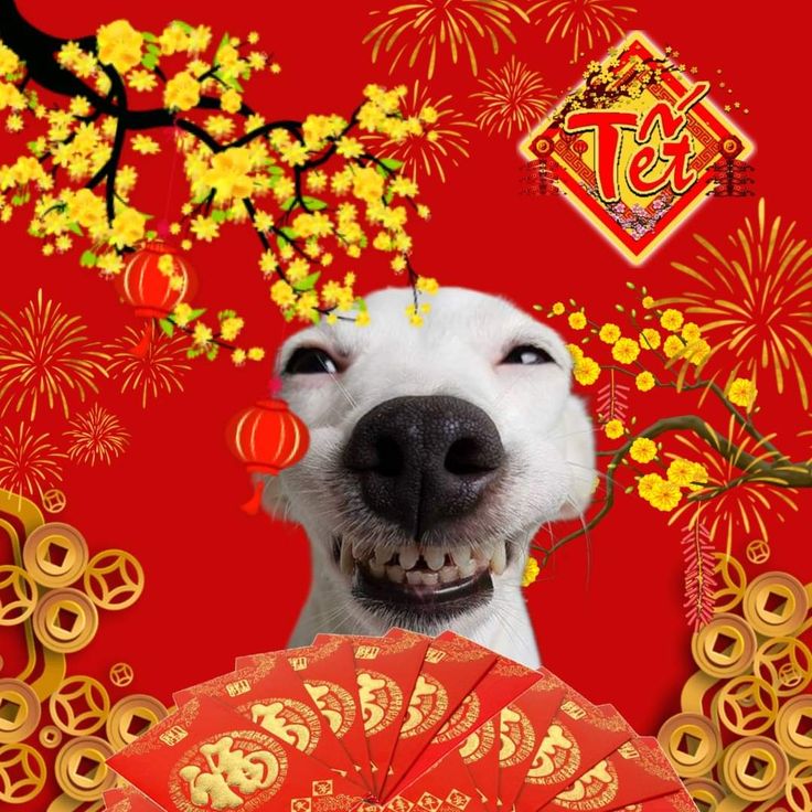 zᥱᥣ²⁶ ꕥɞ tweet media