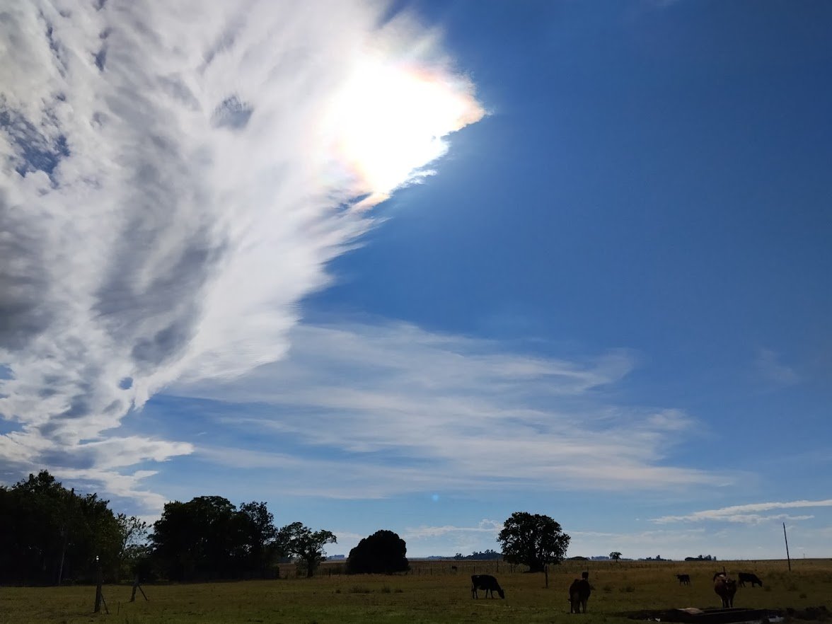 Carlitos Duarte 🇺🇾🇺🇾 (@cardugall79) on Twitter photo 