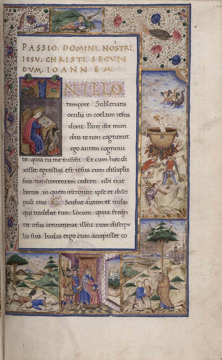 Vatican News tweet media