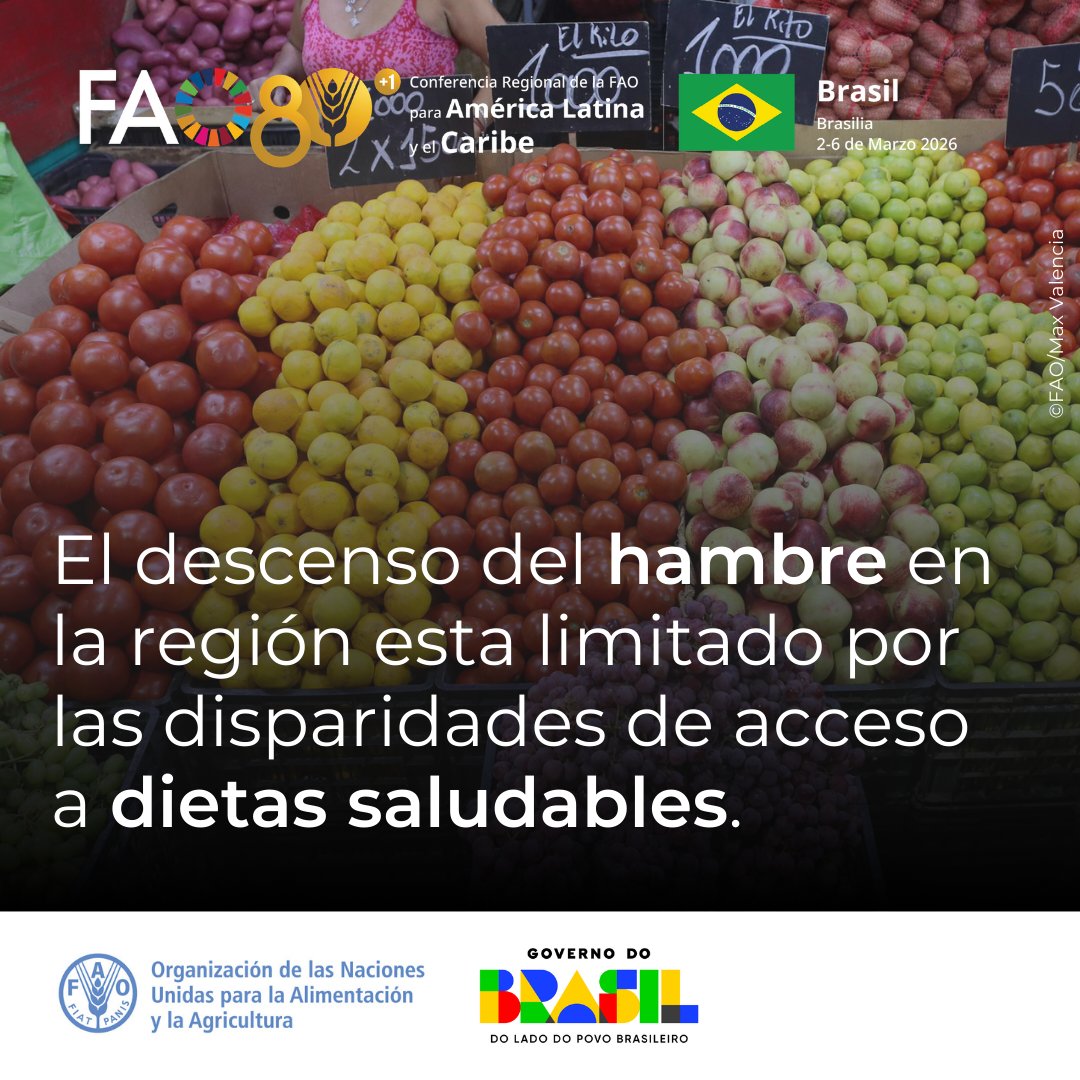 América Latina y el Caribe continúa enfrentando desafíos para erradicar el hambre y acceder a #DietasSaludables.

📢En la #ConferenciaFAOAméricas se definirán las acciones para avanzar hacia una región con #HambreCero.

📆2-6 de marzo

¡Súmate!➡️fao.org/events/detail/…