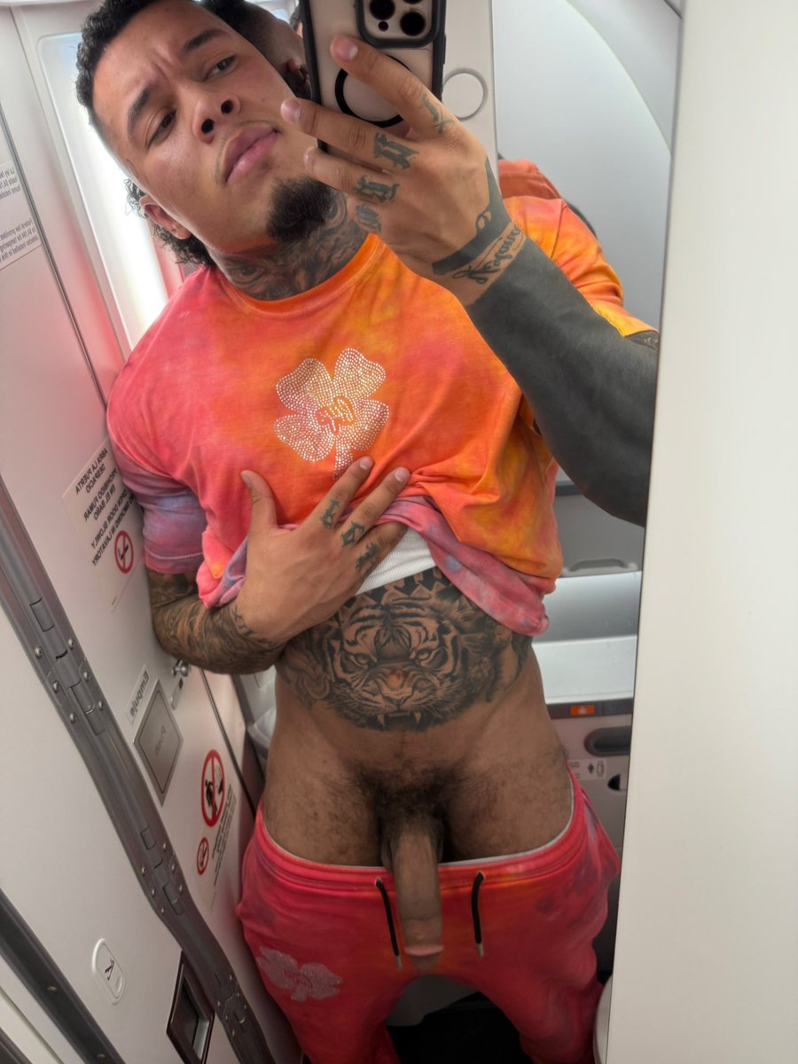 DOMINATOR tweet media