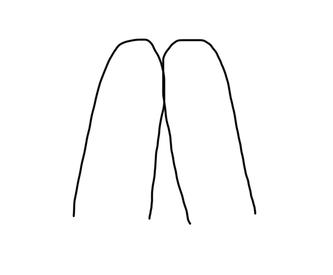 ミミ太郎 tweet media