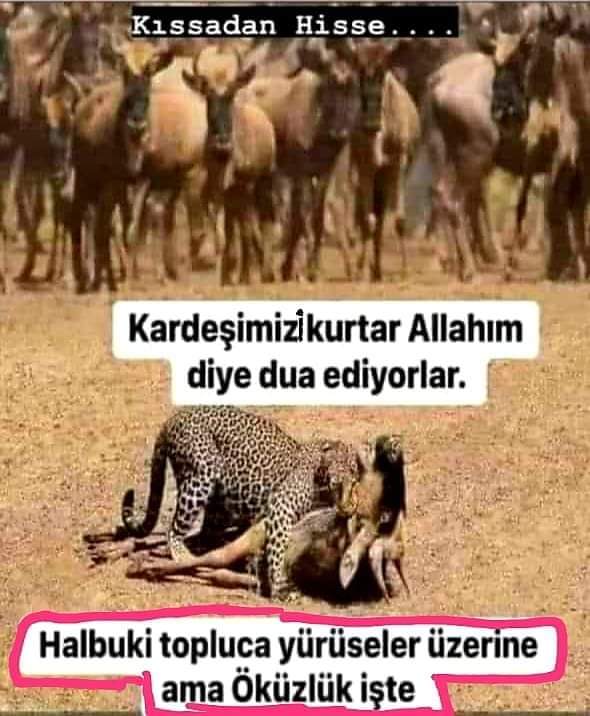 ◾️Hilal gördük diye açıklama yapan ülkeler,
Dün Gazze'deki katliamı görmeyen yöneticilerin yönettiği ülkelerdir

Dün Gazze'yi göremeyenler bugün değil bir akşam vaktinde hilali, gün ortası güneşi bile gördük deseler ne anlam ifade eder ki‼️

#Ramazan #deprem Yusuf Tekin #rüyagibi