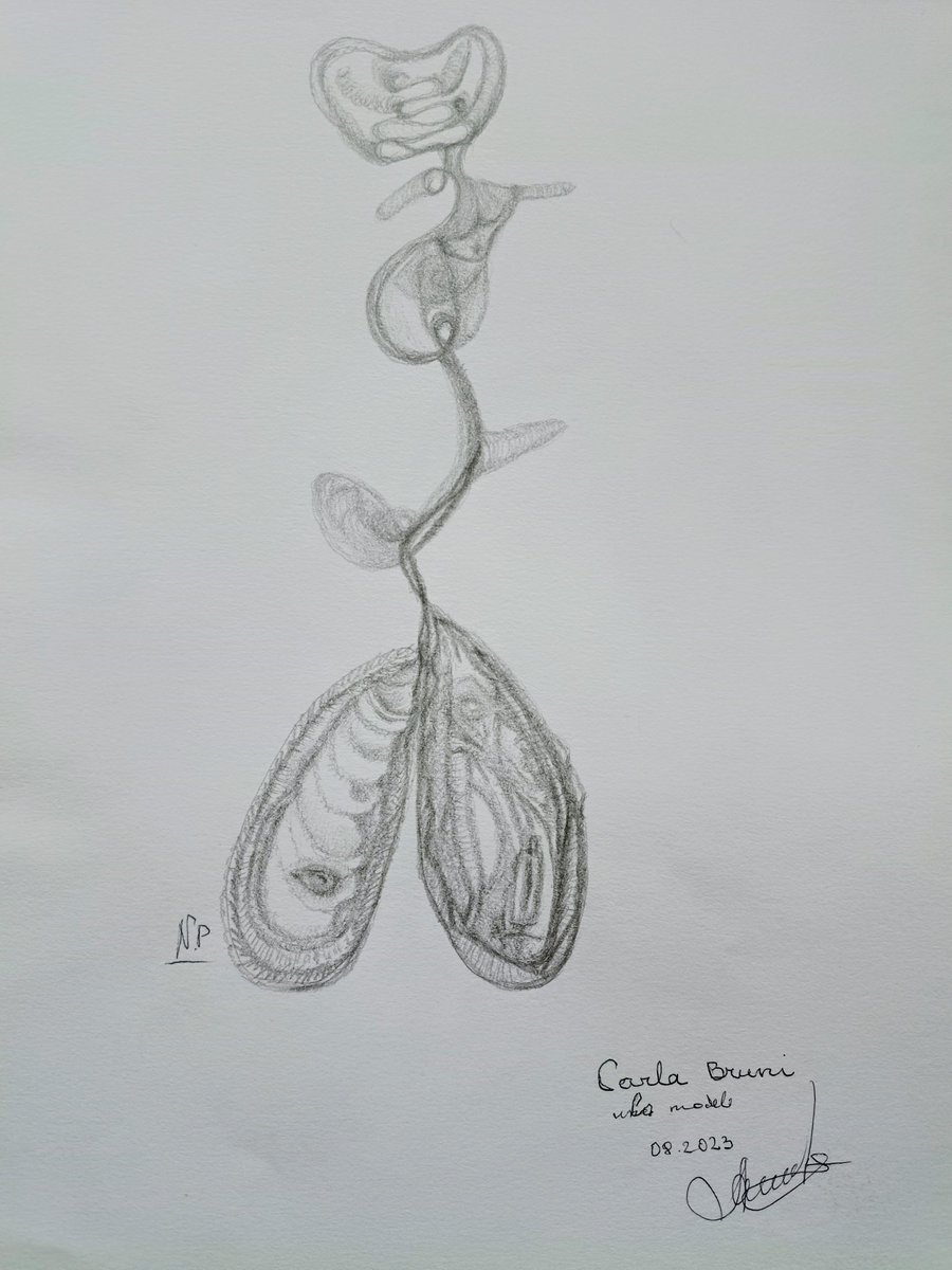 This is portrait of fashion model 
Carl Bruni Sarkozy 
Surrealism