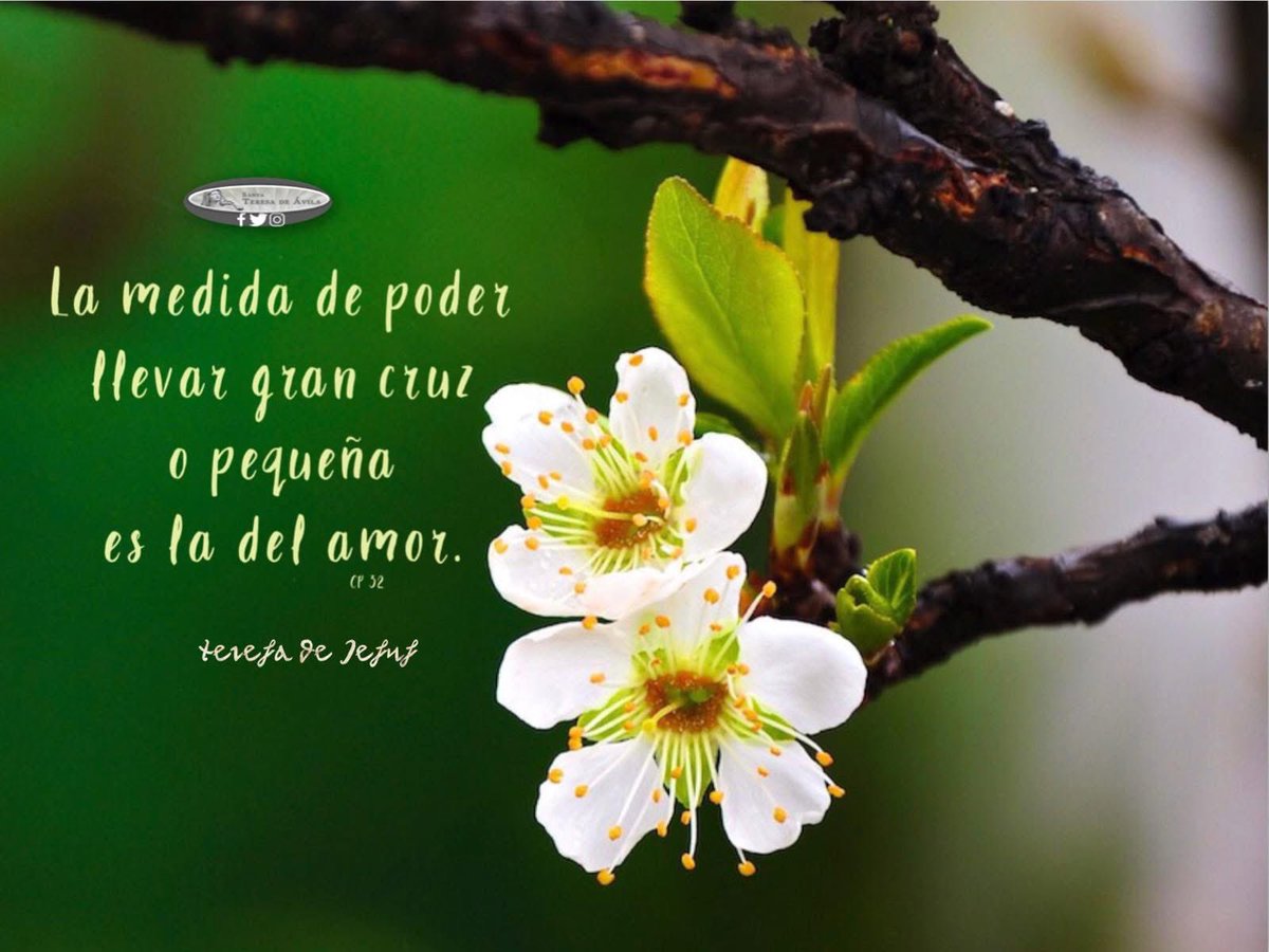Sta Teresa de Jesús (@stteresadeavila) on Twitter photo 