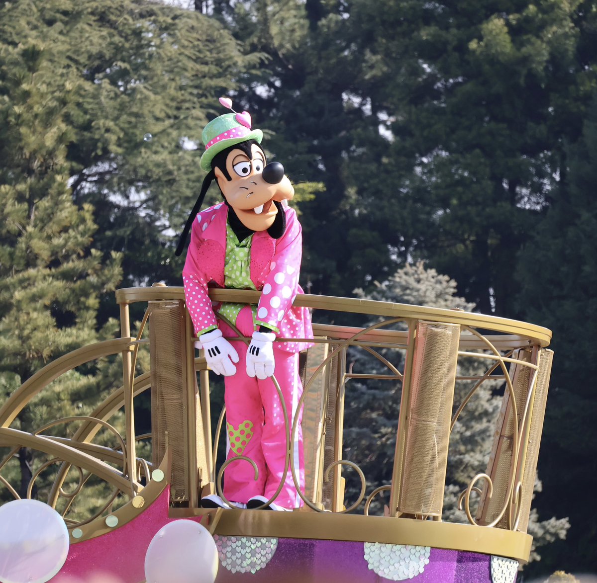seinadisney's tweet photo. 一眼デビューした日🩷
超絶素人 https://t.co/IEoCzyA0RX