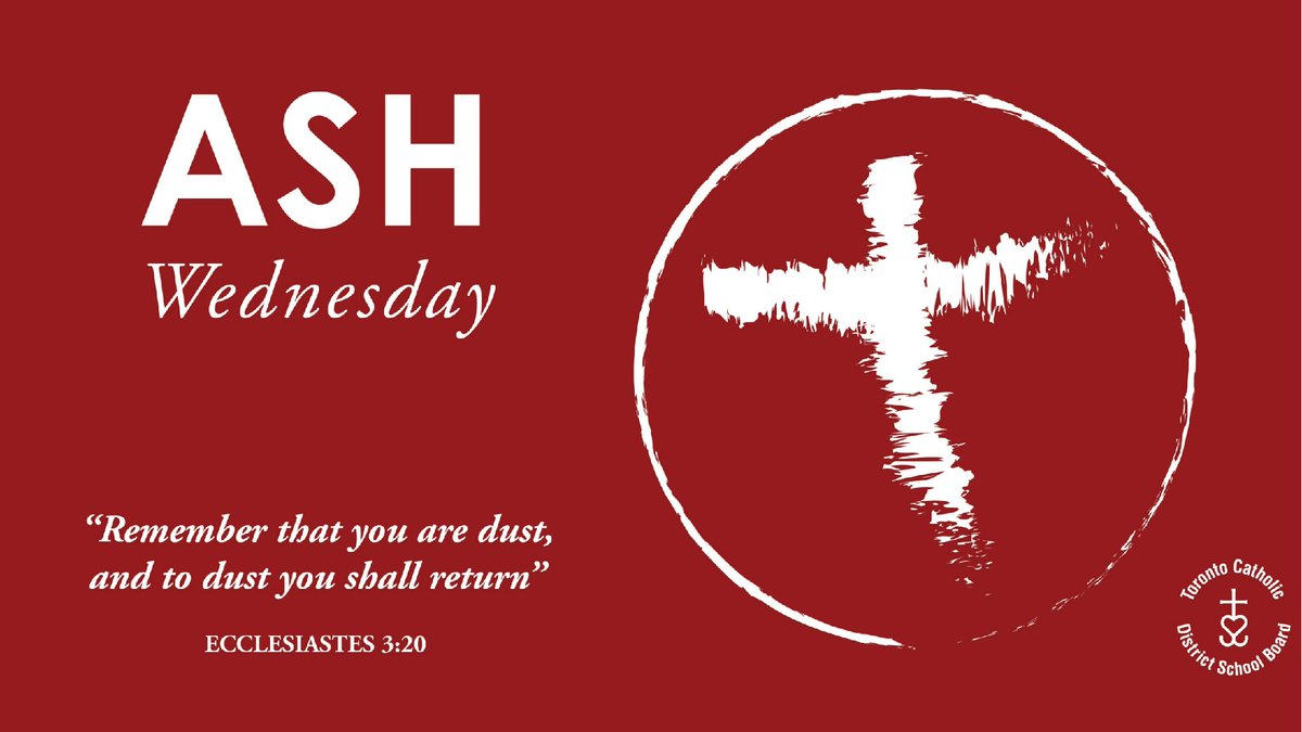 Toronto Catholic District School Board tweet media