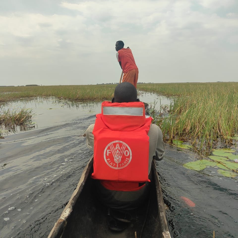FAO in South Sudan tweet media