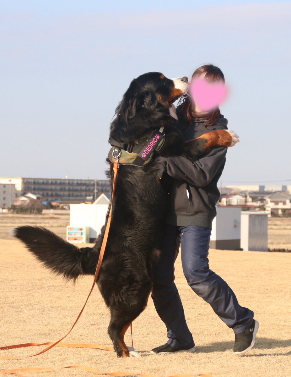 セドちゃん2ヶ月約10kgから4歳55kgになりました🤗
抱っこしてたのがされる側になりました🐻