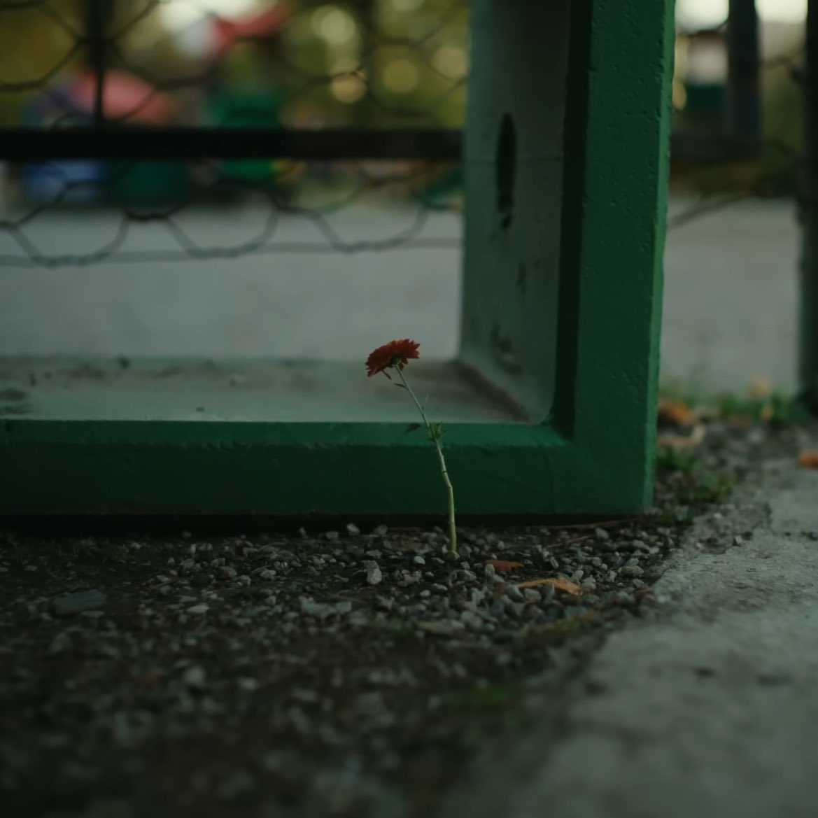 sram you are so beautiful 🌹 #sramhr