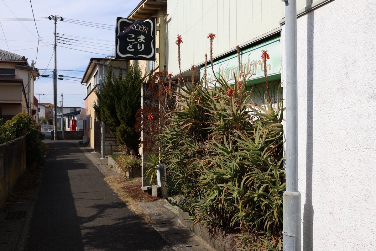 六 tweet media