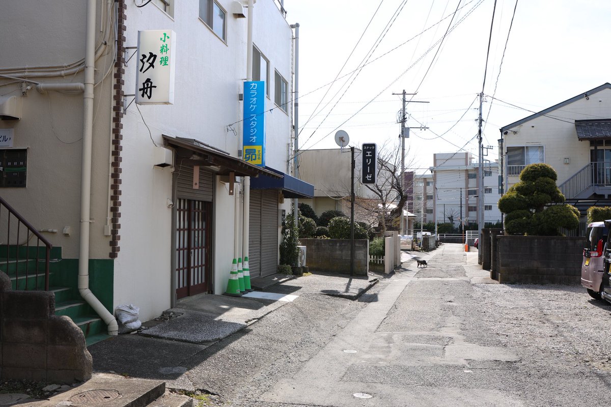 六 tweet media