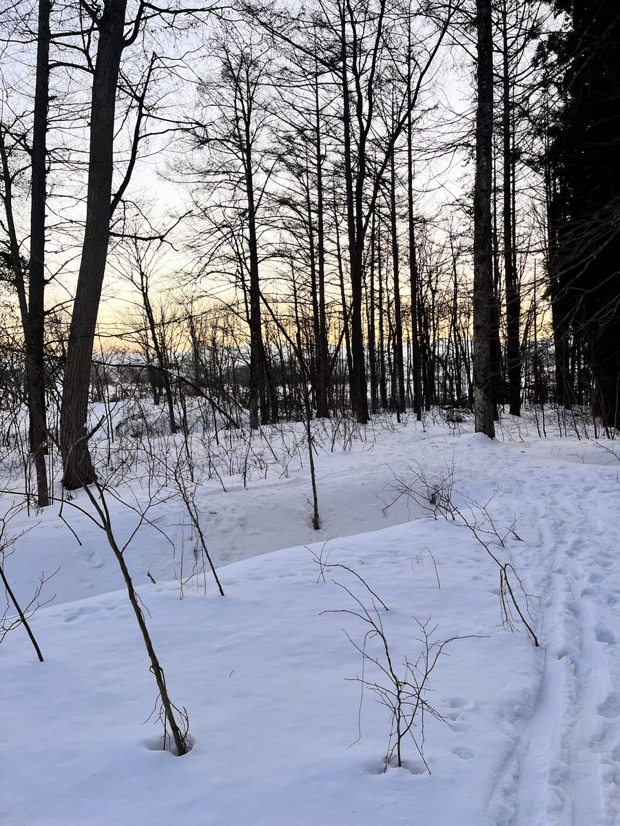 nerxlq's tweet photo. ☃️ https://t.co/sVltr3yb5d