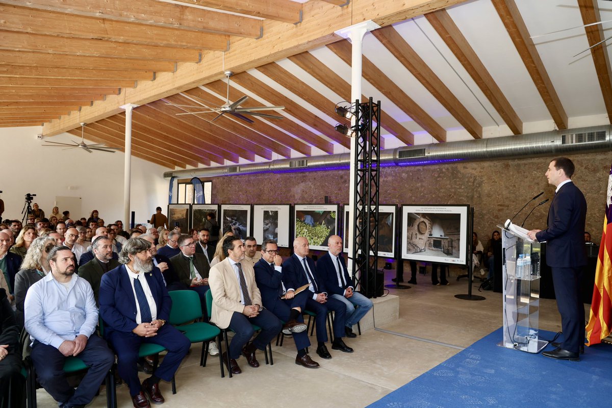 Llorenç Galmés tweet media