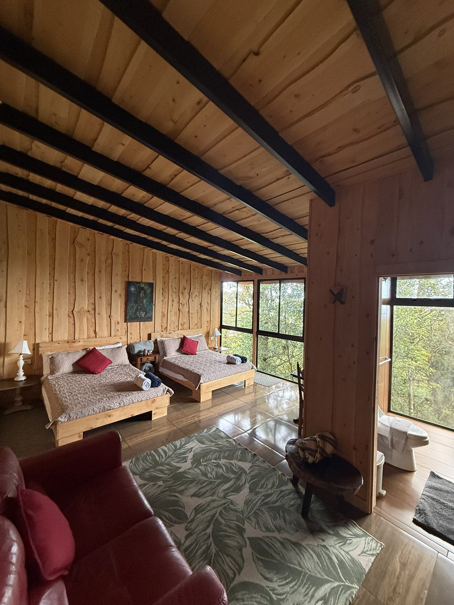 GuruBirder's tweet photo. Casa dowii https://t.co/4IkmweNUA1