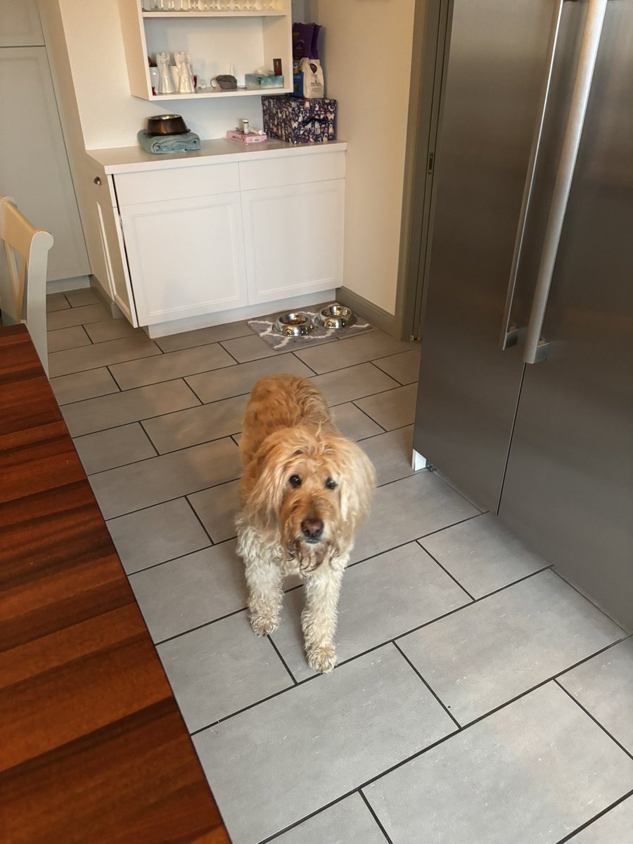 𝐅𝐫. 𝐌𝐚𝐭𝐭𝐡𝐞𝐰 𝐁𝐫𝐞𝐬𝐥𝐢𝐧™️ tweet media