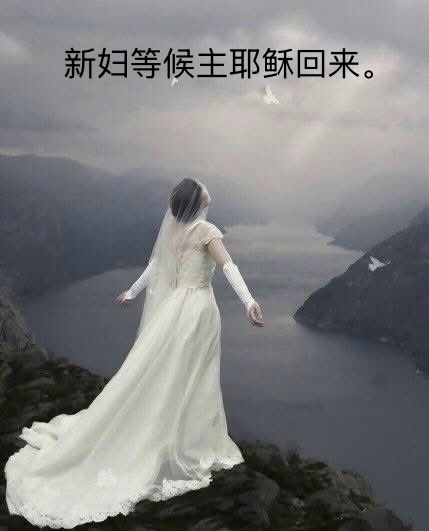 PeterPang_YF's tweet photo. https://t.co/PHKtHigLzV