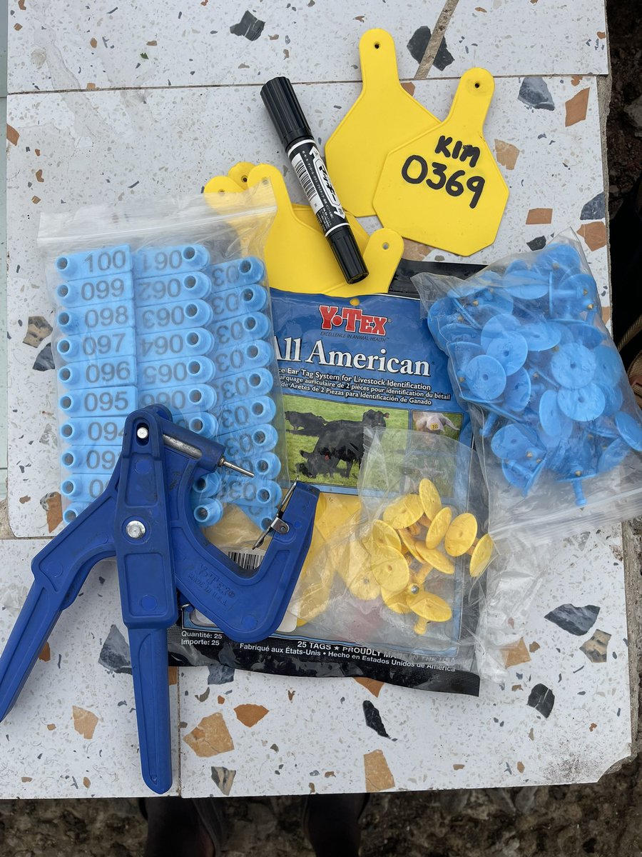 Duke Mike tweet media