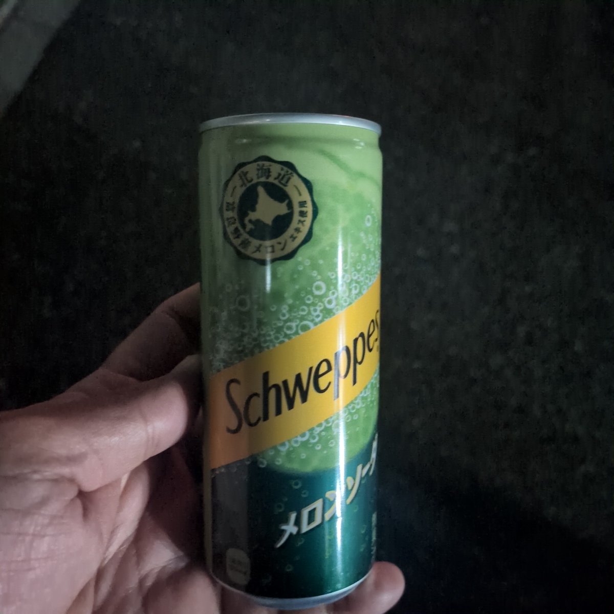 謎メロンソーダ飲むか。
そして帰宅。