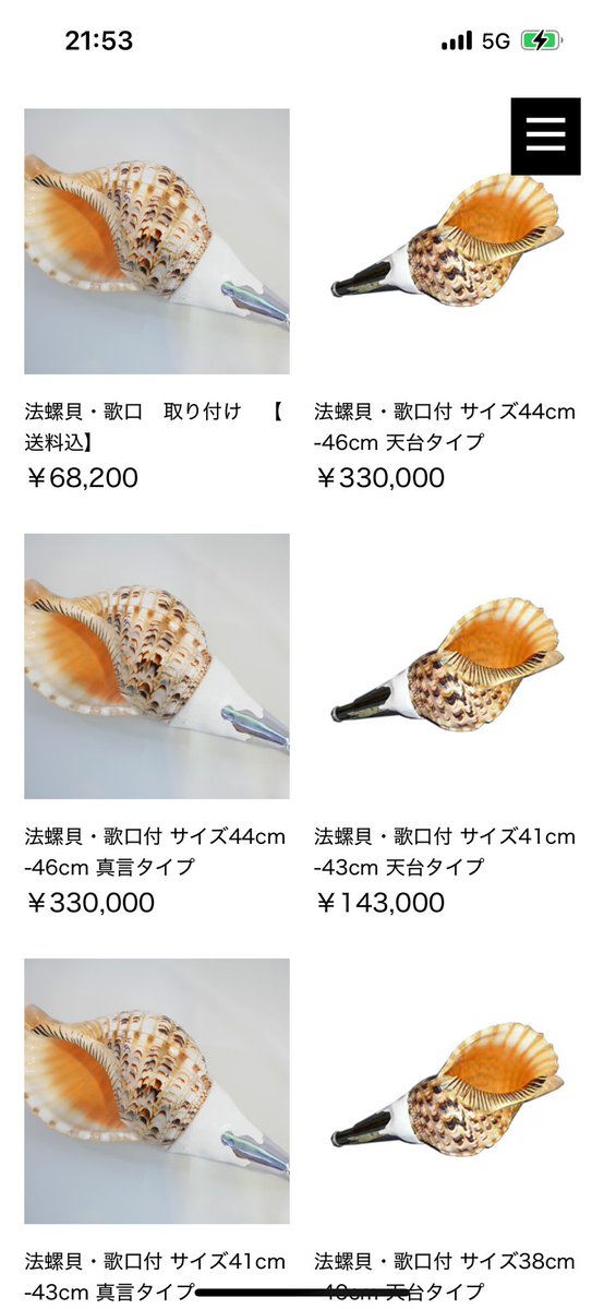 うわぁ 法螺貝 高！