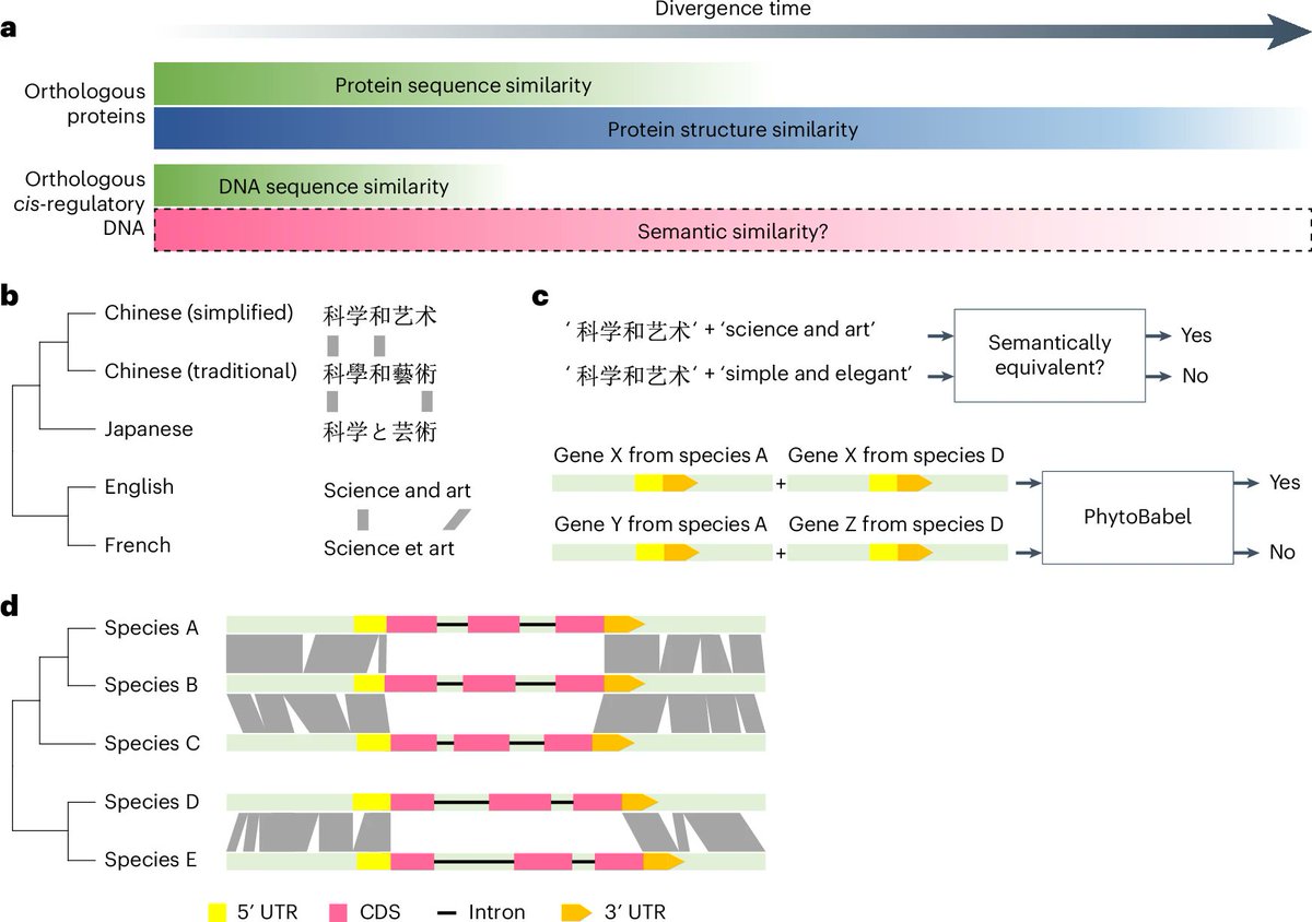 Nature Plants tweet media