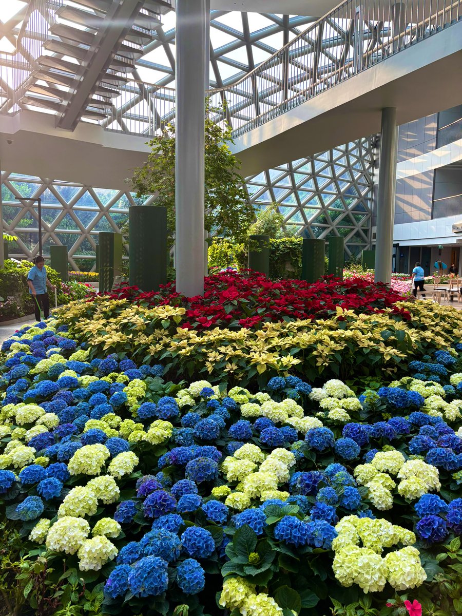 sxicex's tweet image. ทำไมบริษัทพลังงานต้องมาปลูกดอกไม้ให้คนดูฟรี? นี่คือกลยุทธ์การบริหาร Brand และ Stakeholder ที่น่าสนใจ

Asset Optimization: เมื่อมีความเย็นเหลือใช้ แทนที่จะปล่อยทิ้ง ก็นำมาสร้างเป็น "Product" ใหม่ คือสวนดอกไม้เมืองหนาวที่น่าสนใจแบะดึงดูดคนมาชม

แบะคนมาดูเยอะมาก มาเป็นรถ Bus รถตู้