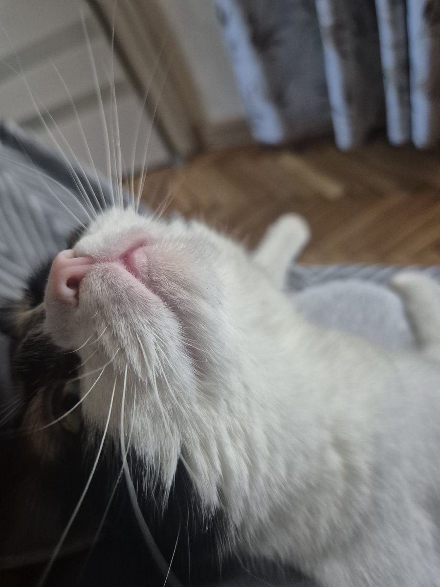 Ириша tweet media