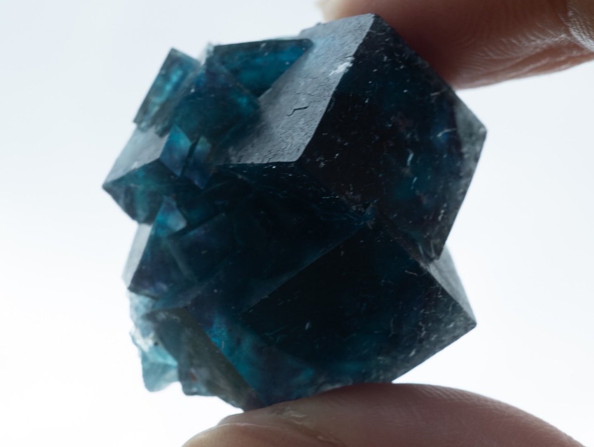 SELSHA｜Inclusion Stones & Jewelry tweet media