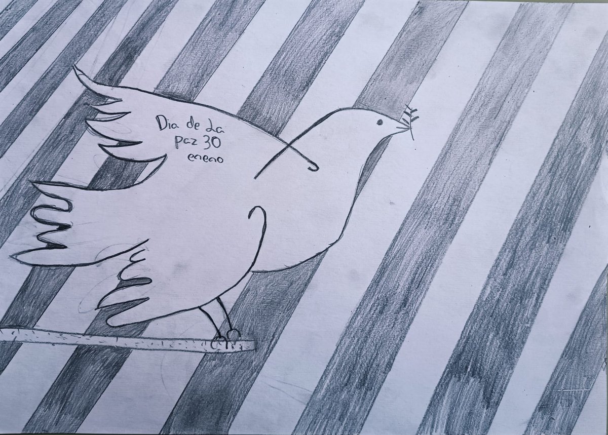 IES CUENCA MINERA tweet media