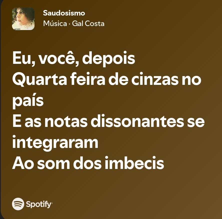 Rafael da Gal tweet media
