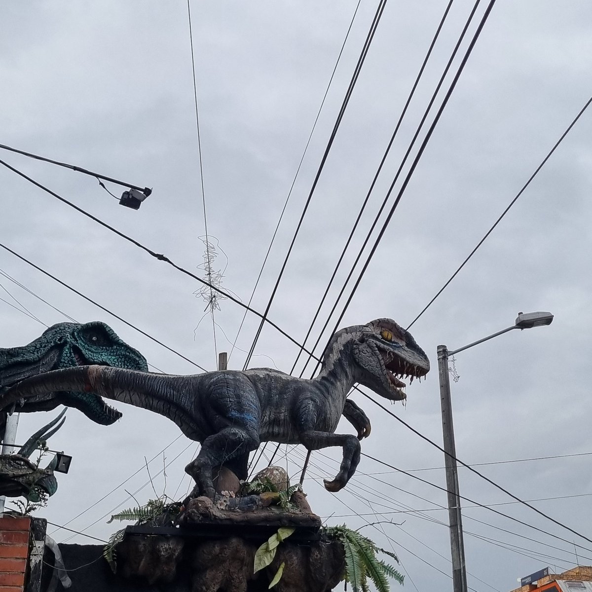 CollagePunks.ᵍᵐ tweet media