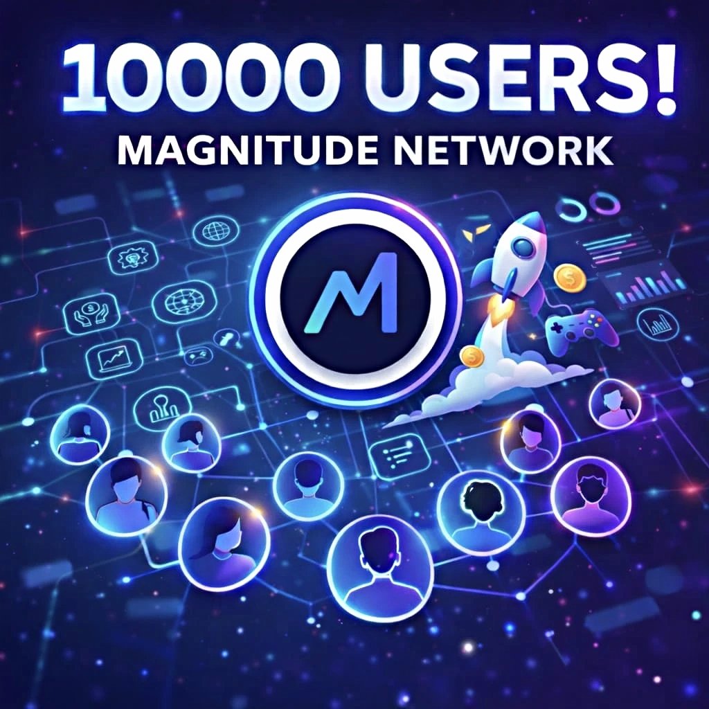 Magnitude Network tweet media