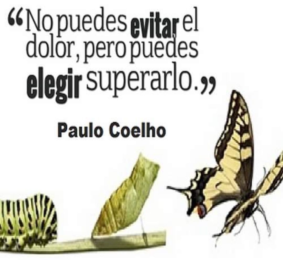 Paulo Coelho Español (@paulocoelhodice) on Twitter photo 