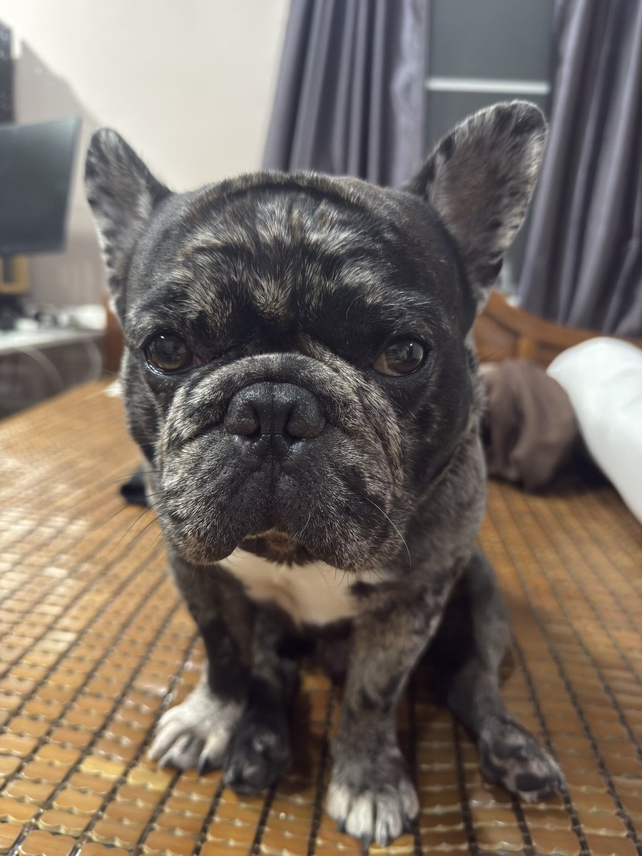 I wonder if this is a rabbit 🐰?