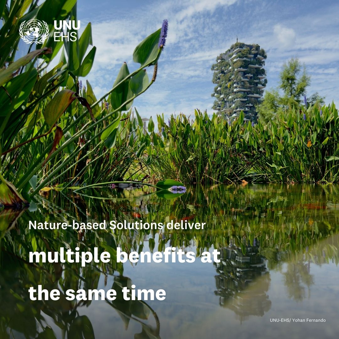 UNUEHS's tweet photo. Nature-positive economies support better long-term decisions. 🧭

They move planning beyond short-term gains toward resilience, equity &amp; future risk reduction.

👉 Read more: https://t.co/PTX09Yu5vn https://t.co/RPLercRoBA