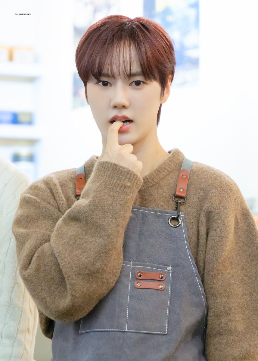 MARGUERITE tweet media