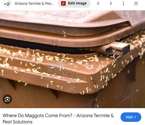 williambendenders tweet media