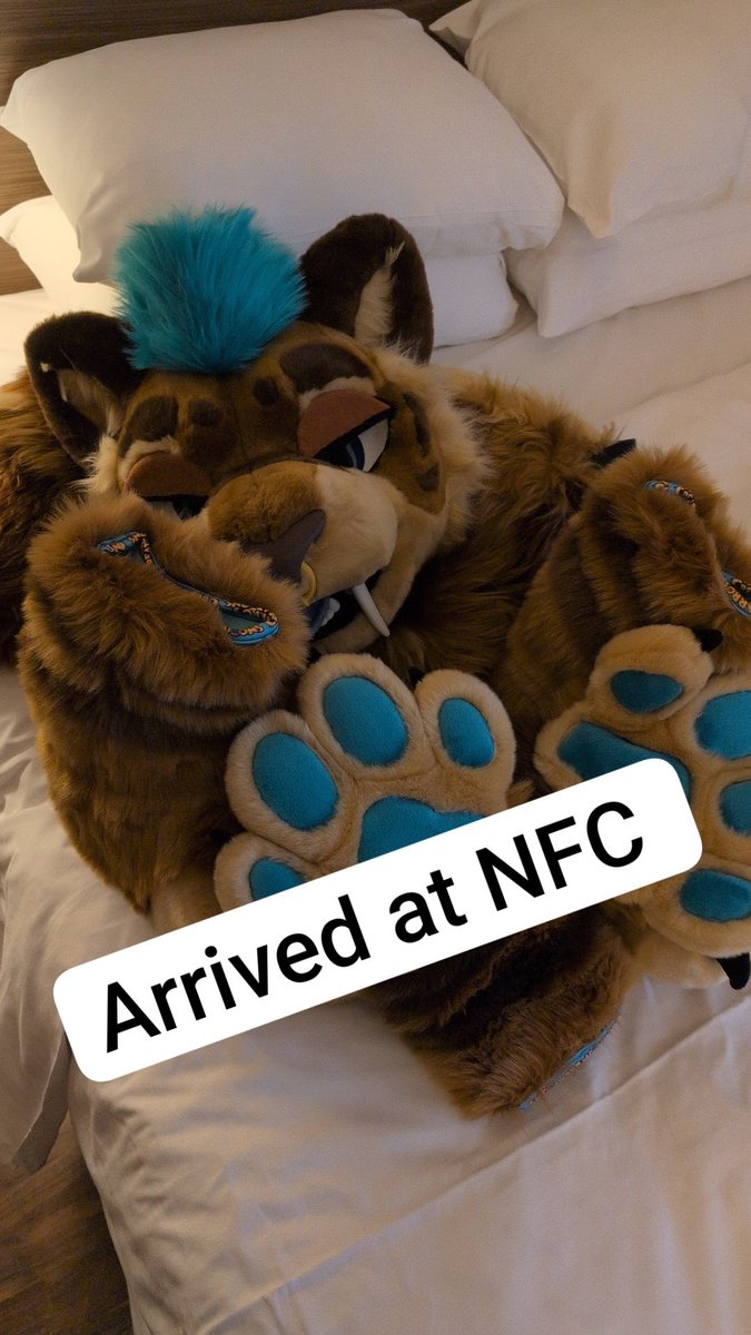 Big Boof Khartan 🍆 ⏭️ RFR (@khartan_ad) on Twitter photo 