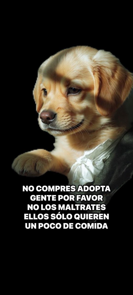 Adopta siempre,ellos quieren y dan amor! ❤️🤗🤗