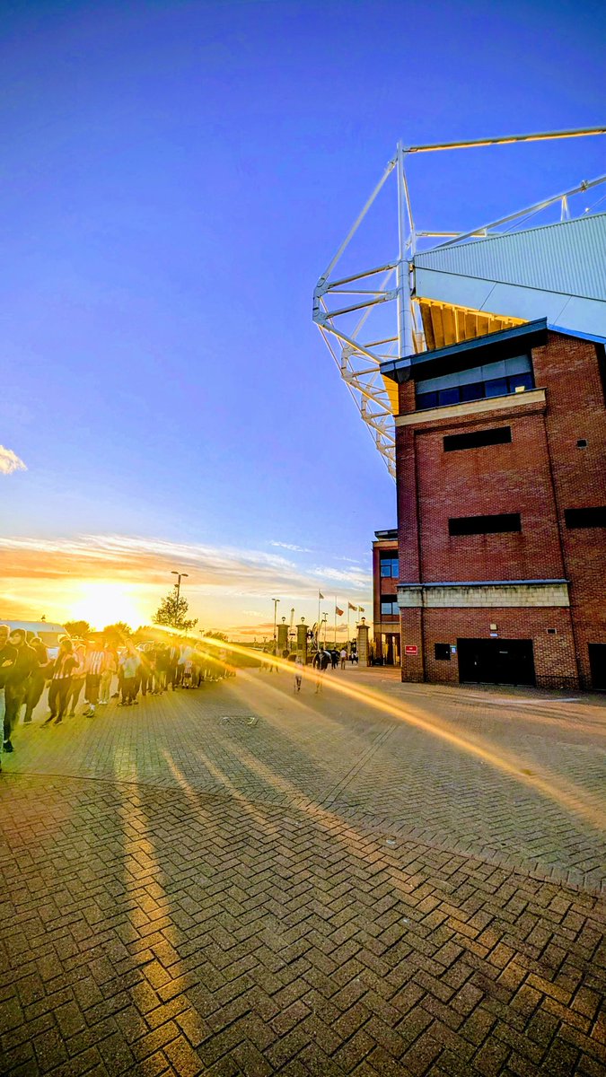 Mackem of Minnesota tweet media