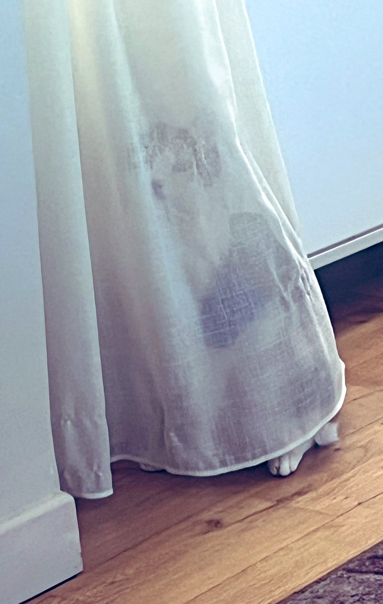 Mirka Andolfo Fumettis tweet media