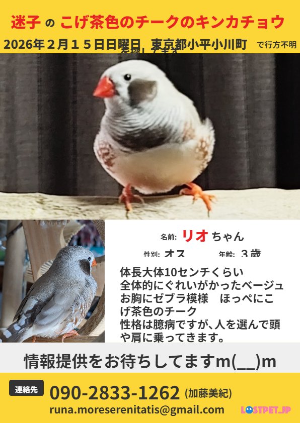 かとうみき tweet media