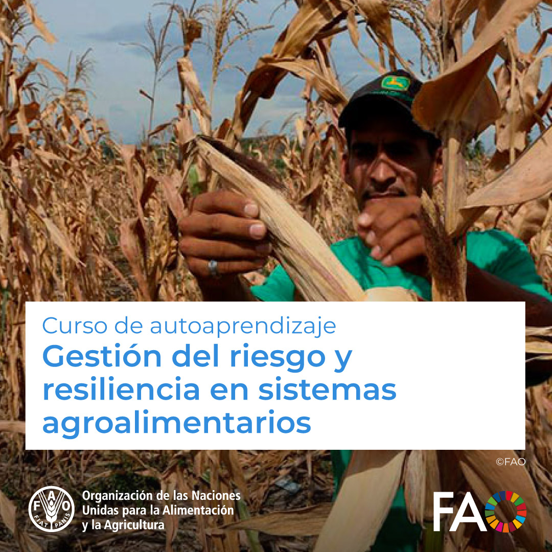 FAO Campus - America Latina y el Caribe tweet media