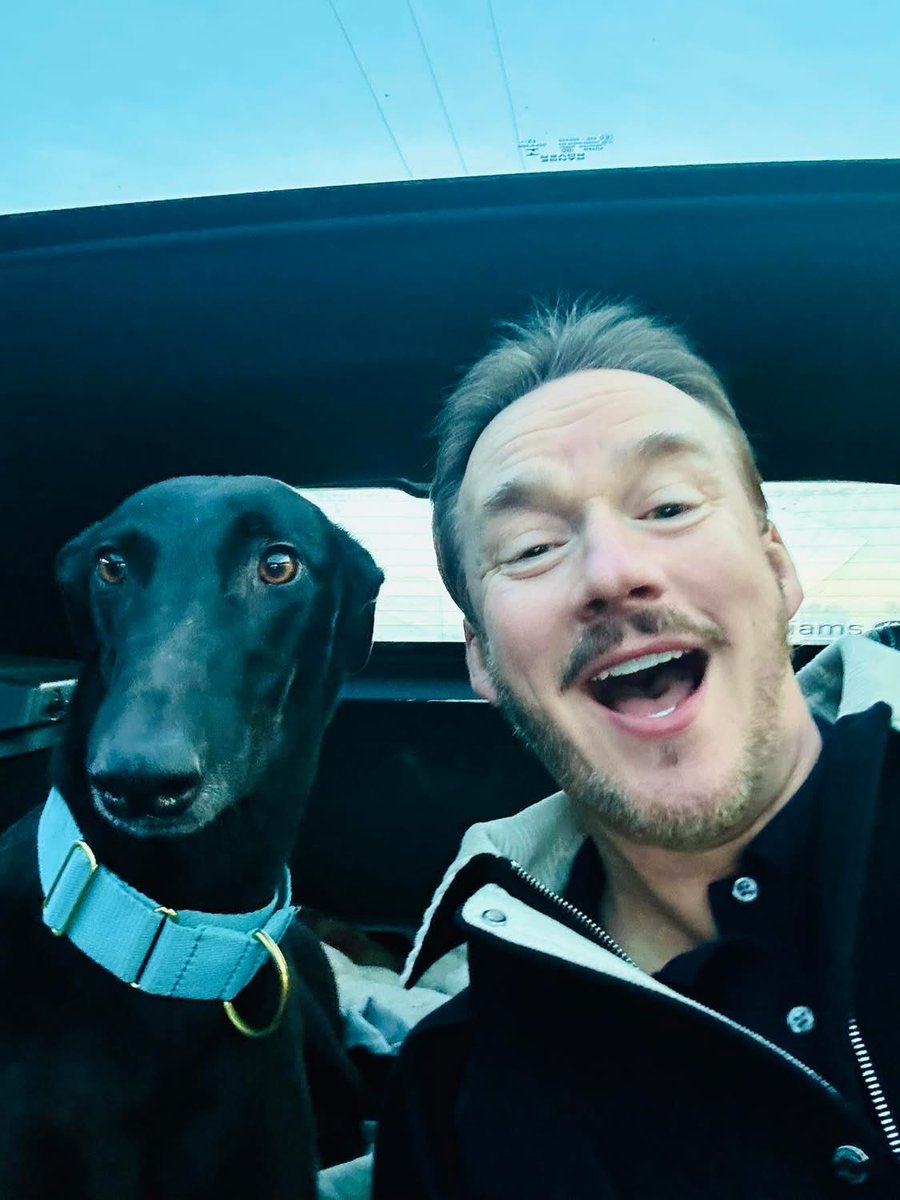 Lurcher SOS 🐾🐾 tweet media