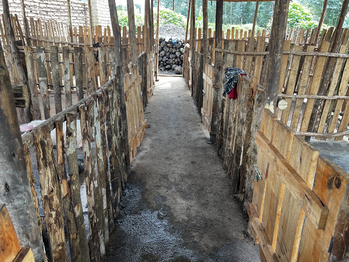 SMARTFARM SOLUTIONS LTD tweet media