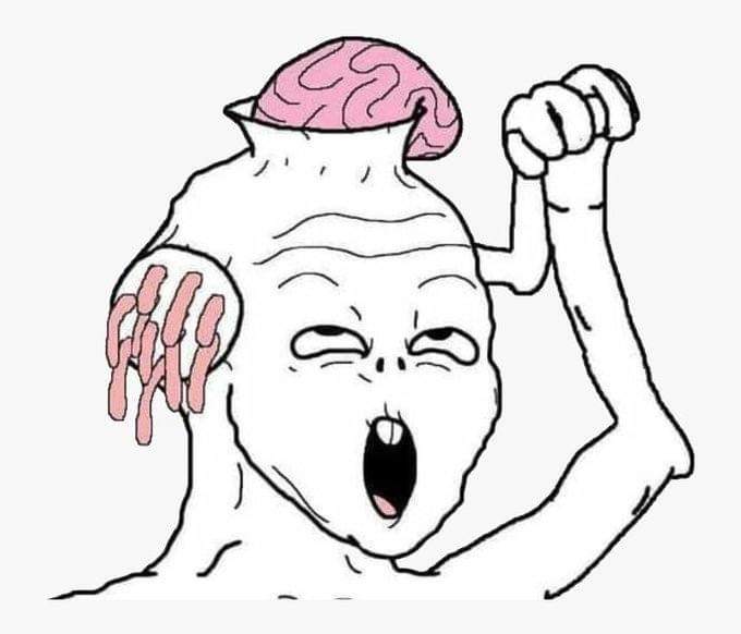 Adam "Bu çözüm süreci denen şey bir şey ifade etmiyor gerçek bir barışı sağlamayacaklar bunlar hep göz boyama olayı terörü bitirdik propagandasına getirecekler." diye red veriyoruz diyor. MeHapEli hamam böceği "Teröristler dağdan inmesin diye red verdiniz." diyor.